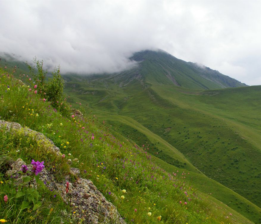zdjęcie gór